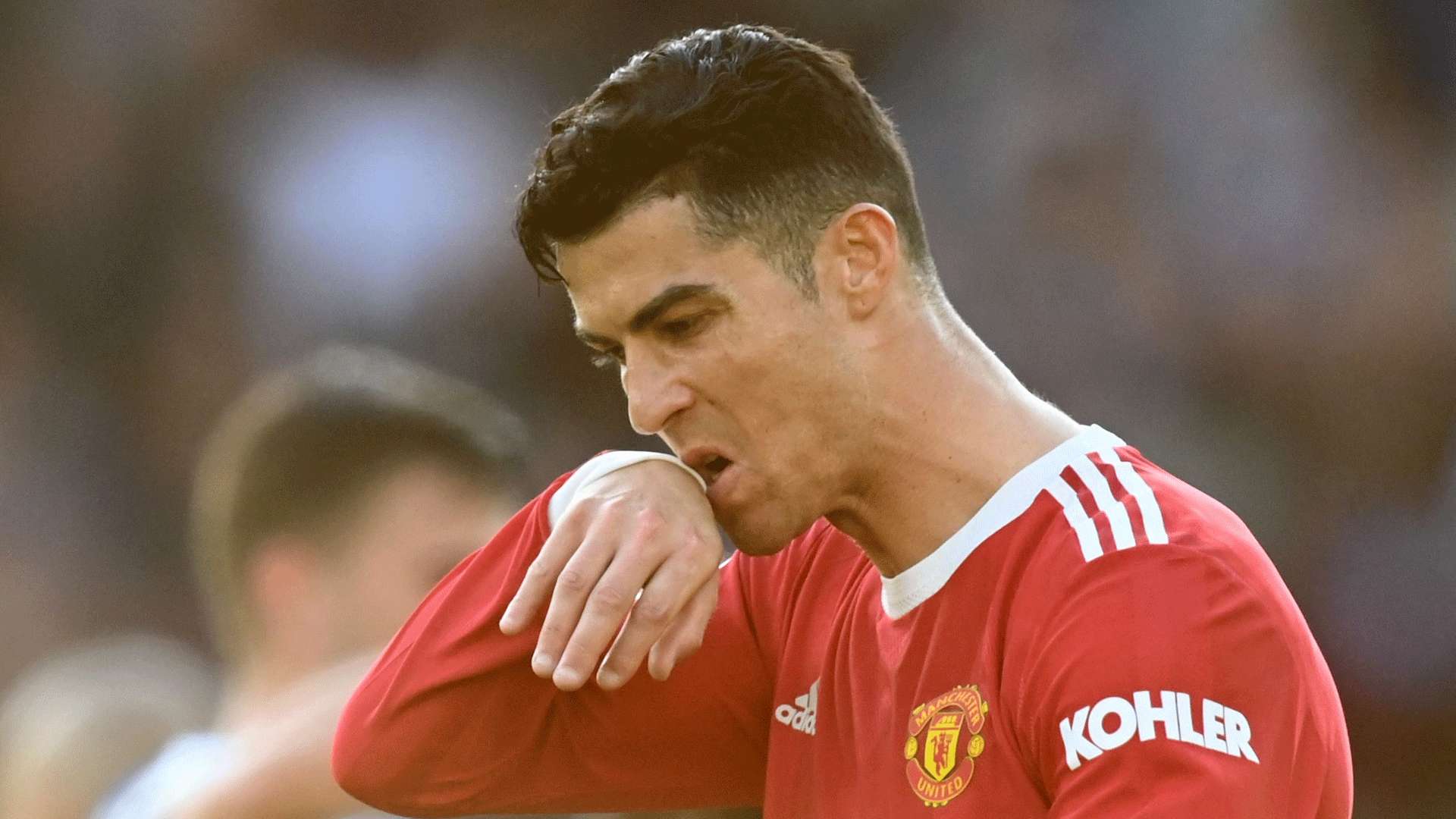 色各有不同 色各有不同